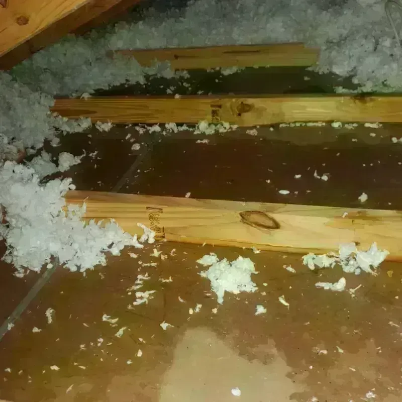 Attic Water Damage in Five Forks, SC